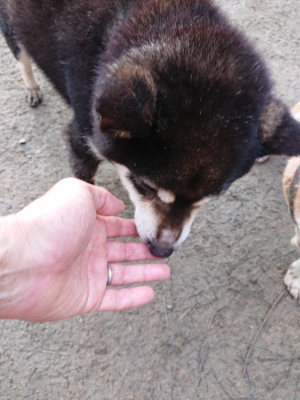 f:id:roukenhome-ann:20190210081633j:plain f:id:roukenhome-ann:20190210081633j:plain