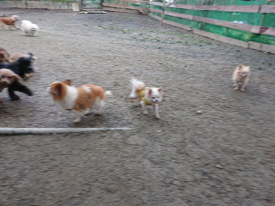 f:id:roukenhome-ann:20190210081649j:plain f:id:roukenhome-ann:20190210081649j:plain