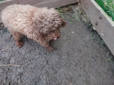 f:id:roukenhome-ann:20190210081701j:plain f:id:roukenhome-ann:20190210081701j:plain