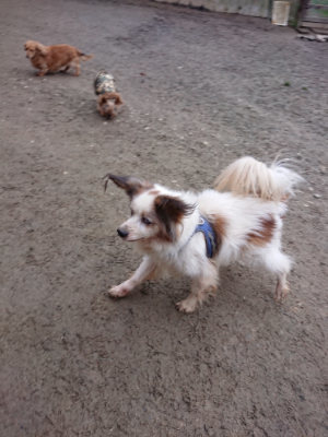 f:id:roukenhome-ann:20190210081724j:plain f:id:roukenhome-ann:20190210081724j:plain