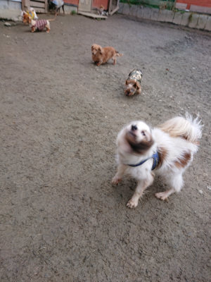 f:id:roukenhome-ann:20190210081731j:plain f:id:roukenhome-ann:20190210081731j:plain
