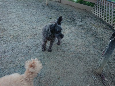 f:id:roukenhome-ann:20190210081742j:plain f:id:roukenhome-ann:20190210081742j:plain