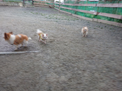 f:id:roukenhome-ann:20190210081748j:plain f:id:roukenhome-ann:20190210081748j:plain