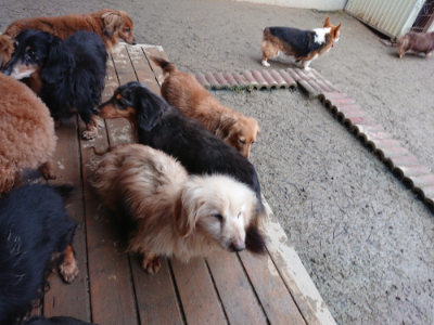 f:id:roukenhome-ann:20190210081759j:plain f:id:roukenhome-ann:20190210081759j:plain