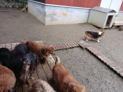 f:id:roukenhome-ann:20190210081827j:plain f:id:roukenhome-ann:20190210081827j:plain