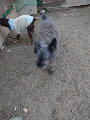 f:id:roukenhome-ann:20190210081903j:plain f:id:roukenhome-ann:20190210081903j:plain