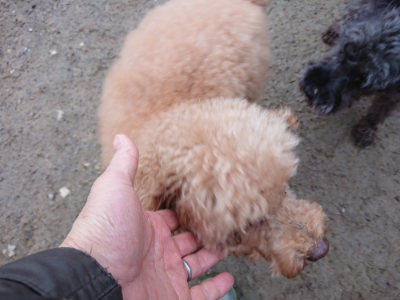 f:id:roukenhome-ann:20190210081918j:plain f:id:roukenhome-ann:20190210081918j:plain