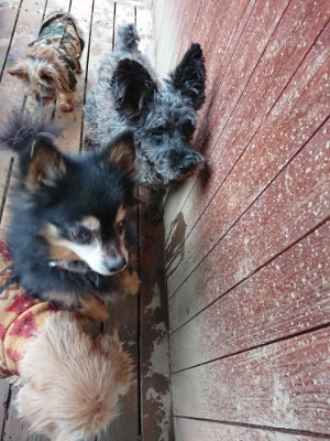 f:id:roukenhome-ann:20190210081956j:plain f:id:roukenhome-ann:20190210081956j:plain