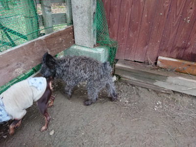f:id:roukenhome-ann:20190210082011j:plain f:id:roukenhome-ann:20190210082011j:plain