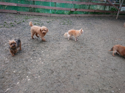 f:id:roukenhome-ann:20190210082016j:plain f:id:roukenhome-ann:20190210082016j:plain