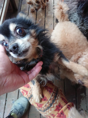 f:id:roukenhome-ann:20190210082027j:plain f:id:roukenhome-ann:20190210082027j:plain