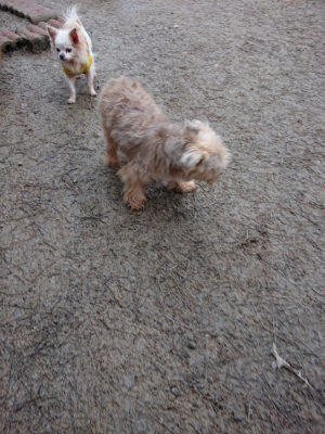 f:id:roukenhome-ann:20190210083354j:plain f:id:roukenhome-ann:20190210083354j:plain