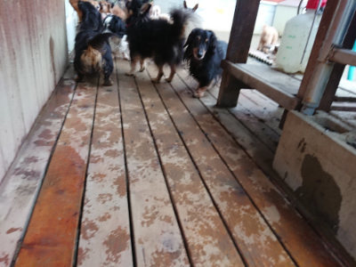 f:id:roukenhome-ann:20190210083402j:plain f:id:roukenhome-ann:20190210083402j:plain