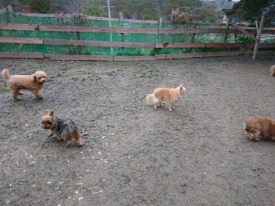 f:id:roukenhome-ann:20190210083420j:plain f:id:roukenhome-ann:20190210083420j:plain