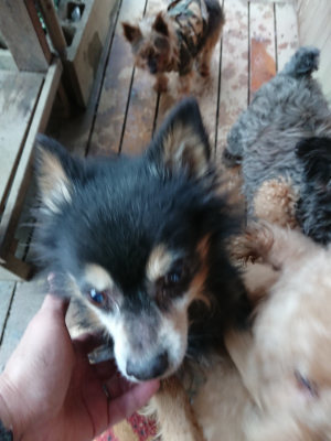 f:id:roukenhome-ann:20190210083434j:plain f:id:roukenhome-ann:20190210083434j:plain