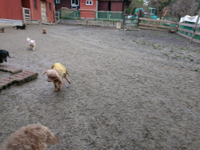 f:id:roukenhome-ann:20190210083439j:plain f:id:roukenhome-ann:20190210083439j:plain