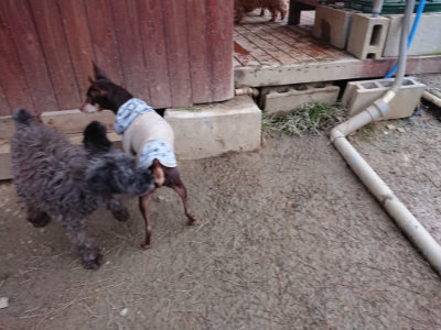 f:id:roukenhome-ann:20190210083515j:plain f:id:roukenhome-ann:20190210083515j:plain