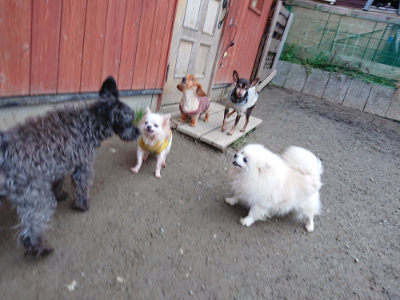 f:id:roukenhome-ann:20190210083521j:plain f:id:roukenhome-ann:20190210083521j:plain