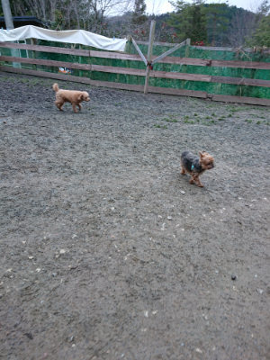 f:id:roukenhome-ann:20190210083527j:plain f:id:roukenhome-ann:20190210083527j:plain