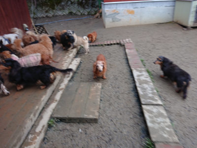 f:id:roukenhome-ann:20190210083532j:plain f:id:roukenhome-ann:20190210083532j:plain