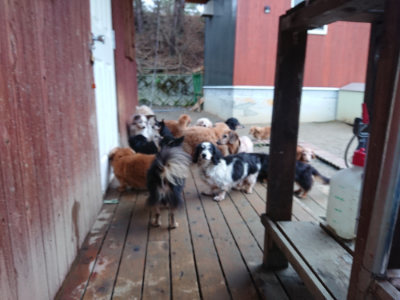 f:id:roukenhome-ann:20190210083548j:plain f:id:roukenhome-ann:20190210083548j:plain