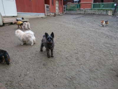 f:id:roukenhome-ann:20190210083555j:plain f:id:roukenhome-ann:20190210083555j:plain