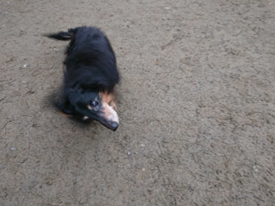 f:id:roukenhome-ann:20190210083629j:plain f:id:roukenhome-ann:20190210083629j:plain