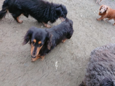 f:id:roukenhome-ann:20190210083636j:plain f:id:roukenhome-ann:20190210083636j:plain