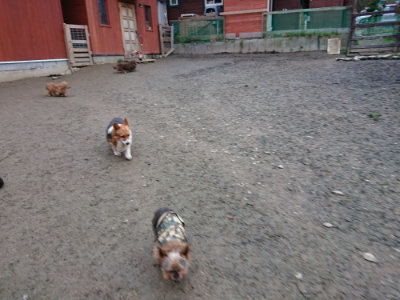 f:id:roukenhome-ann:20190210083647j:plain f:id:roukenhome-ann:20190210083647j:plain