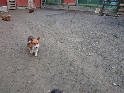 f:id:roukenhome-ann:20190210083728j:plain f:id:roukenhome-ann:20190210083728j:plain