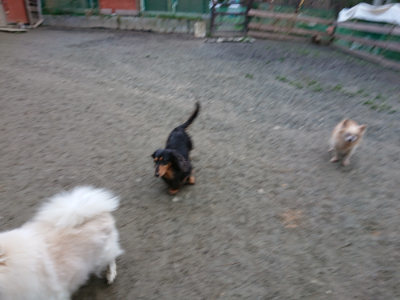 f:id:roukenhome-ann:20190210083734j:plain f:id:roukenhome-ann:20190210083734j:plain