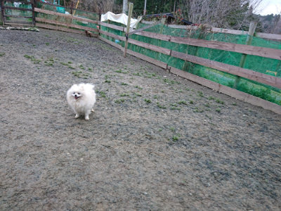 f:id:roukenhome-ann:20190210083757j:plain f:id:roukenhome-ann:20190210083757j:plain
