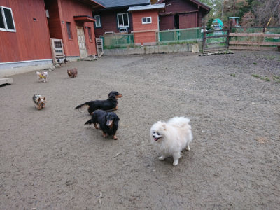 f:id:roukenhome-ann:20190210083801j:plain f:id:roukenhome-ann:20190210083801j:plain