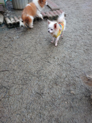 f:id:roukenhome-ann:20190210083824j:plain f:id:roukenhome-ann:20190210083824j:plain