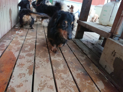 f:id:roukenhome-ann:20190210083829j:plain f:id:roukenhome-ann:20190210083829j:plain