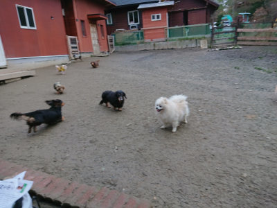 f:id:roukenhome-ann:20190210083841j:plain f:id:roukenhome-ann:20190210083841j:plain