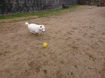 f:id:roukenhome-ann:20190210083846j:plain f:id:roukenhome-ann:20190210083846j:plain