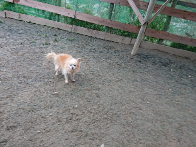 f:id:roukenhome-ann:20190210083852j:plain f:id:roukenhome-ann:20190210083852j:plain