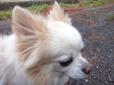 f:id:roukenhome-ann:20190210085712j:plain f:id:roukenhome-ann:20190210085712j:plain