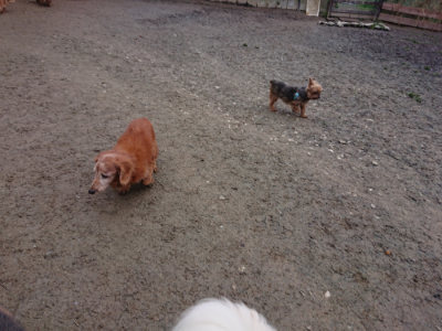 f:id:roukenhome-ann:20190210085856j:plain f:id:roukenhome-ann:20190210085856j:plain