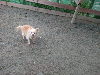 f:id:roukenhome-ann:20190210090051j:plain f:id:roukenhome-ann:20190210090051j:plain