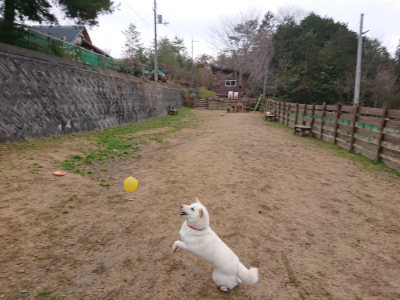 f:id:roukenhome-ann:20190210090237j:plain f:id:roukenhome-ann:20190210090237j:plain