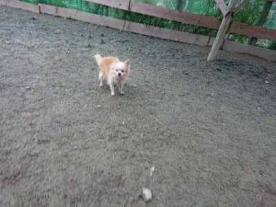f:id:roukenhome-ann:20190210090322j:plain f:id:roukenhome-ann:20190210090322j:plain