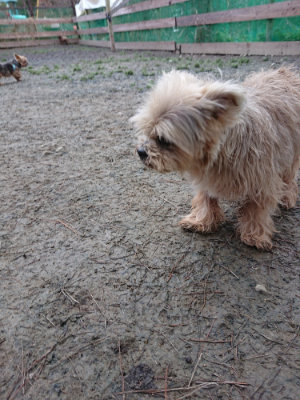 f:id:roukenhome-ann:20190210090442j:plain f:id:roukenhome-ann:20190210090442j:plain