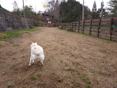 f:id:roukenhome-ann:20190210090542j:plain f:id:roukenhome-ann:20190210090542j:plain