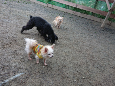 f:id:roukenhome-ann:20190210090713j:plain f:id:roukenhome-ann:20190210090713j:plain