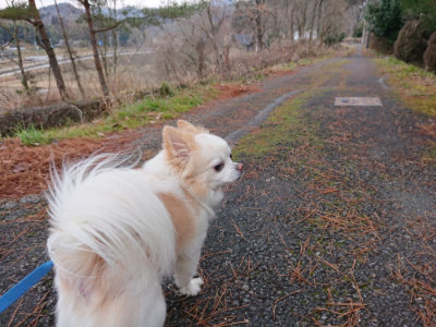 f:id:roukenhome-ann:20190210091608j:plain f:id:roukenhome-ann:20190210091608j:plain