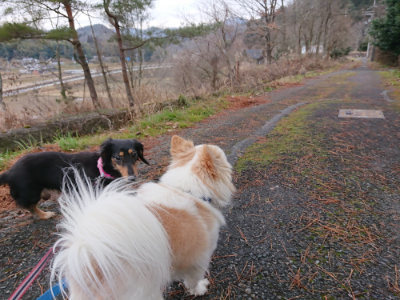 f:id:roukenhome-ann:20190210091713j:plain f:id:roukenhome-ann:20190210091713j:plain