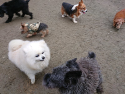 f:id:roukenhome-ann:20190210091755j:plain f:id:roukenhome-ann:20190210091755j:plain