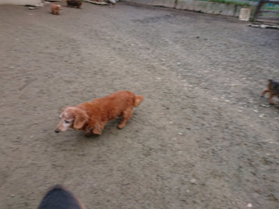 f:id:roukenhome-ann:20190210091807j:plain f:id:roukenhome-ann:20190210091807j:plain